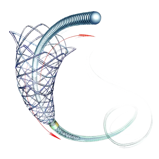 Leo+ & Leo+ Baby Self-Expandable Braided Stent
